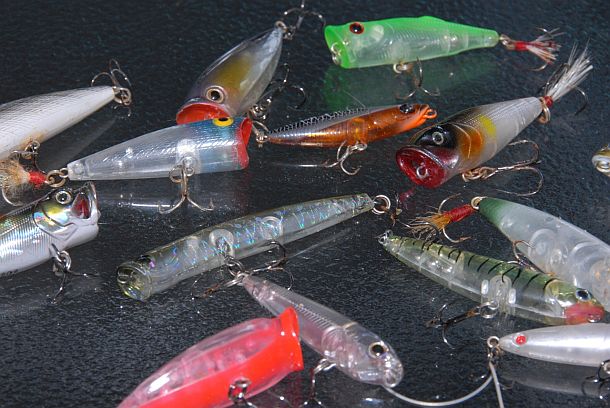 Senator Ron Boswell Pic: Jim Harnwell